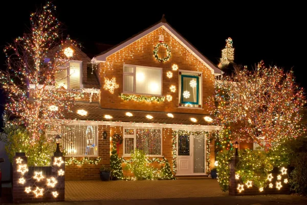 Christmas Light_18